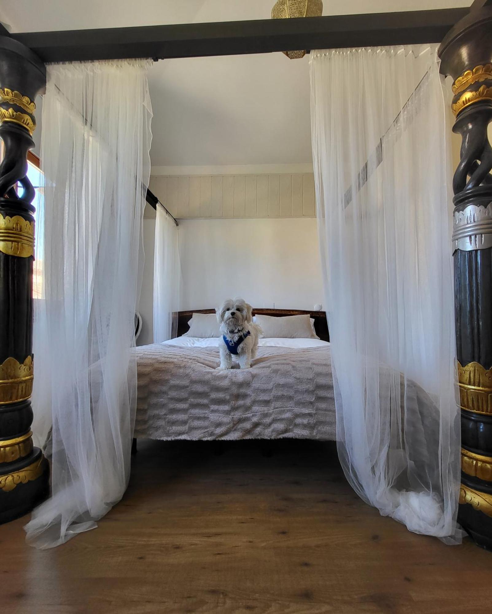 Hotel Rural Luna Llena Torremocha de Jarama 部屋 写真